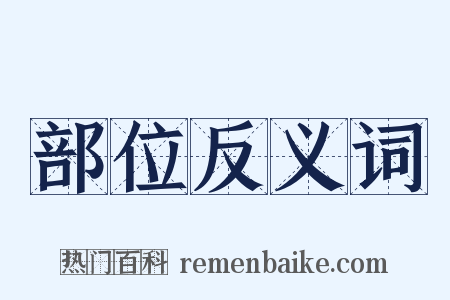 部位反义词是什么意思的图片